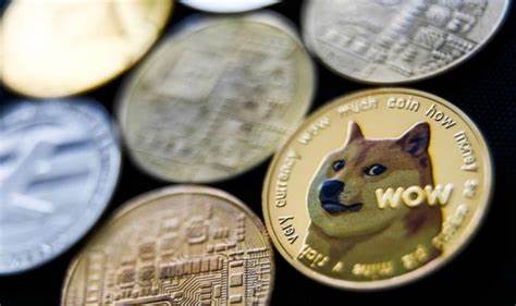 Shiba Inu rival: What is Sanshu Inu coin – and can it beat SHIB? - Express