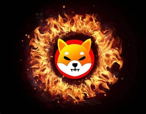 SHIB Burns Skyrocket 5,803% with 26.4 Million Shiba Inu Ablaze - U.Today