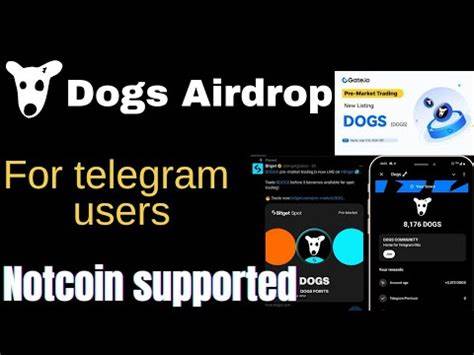 DOGS: the free airdrop of Telegram will be officially launched tomorrow - The Cryptonomist