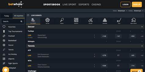 2024’s Best Offshore Sportsbooks – Top 10 Offshore Sports Betting Sites, Rated by Experts