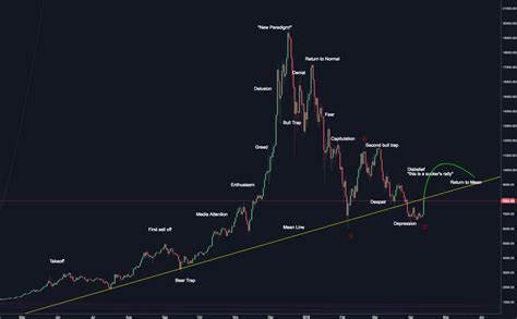 Is Bitcoin a Bubble? The Ski Jump Price Pattern - The Acquirer's Multiple