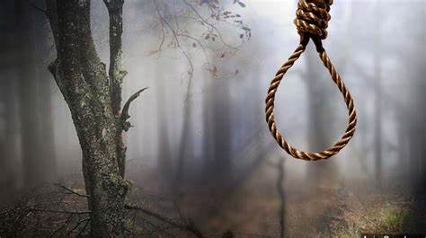 Man suffers Rs 50L crypto loss, hangs self at home - The Tribune India