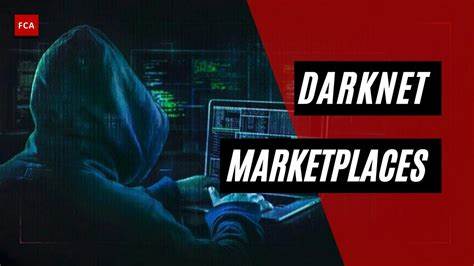 The Economics of Anonymity: A Look at Darknet Markets — ocelotcamel86