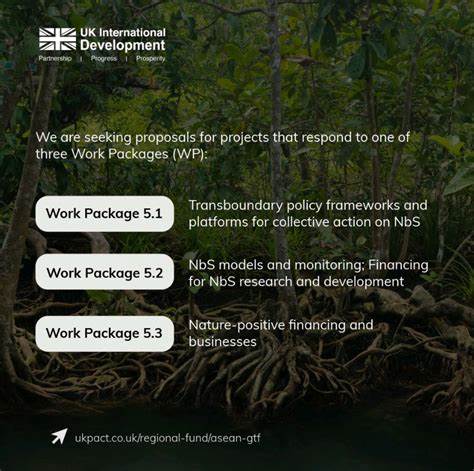 Tell me about your favorite tree (a slow-web proposal)