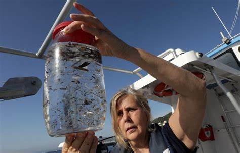I'm a Microplastics Researcher
