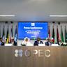 OPEC+ officials to discuss production capacity in Vienna, sources say