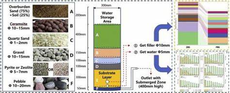 Insights into Pyrite-Based Autotrophic Denitrification