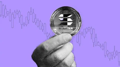 Solana (SOL) Loses 57% Since All-Time High, Now Holds at Key Support Zone - CCN.com