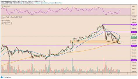 Bitcoin: Falling Wedge & Election Year Fuel Bullish Momentum - CryptoNewsZ