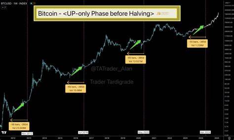 Bitcoin Price Churn Enters ‘Final Phase’ Before Bull Run Continues: CryptoQuant - Decrypt