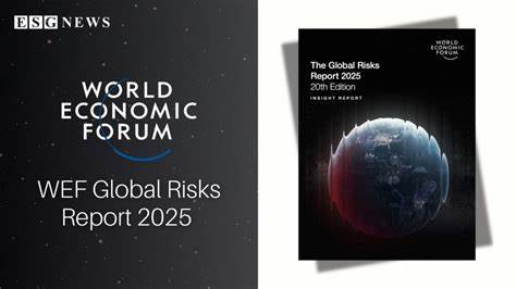 WEF Global Risks Report 2025 [pdf]
