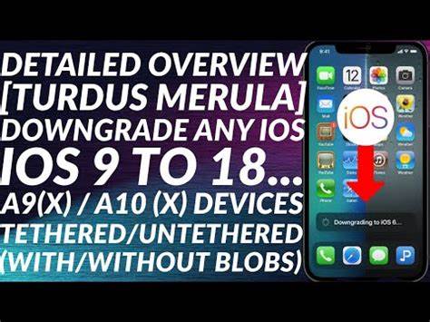 turdus merula — iOS downgrade tool for A9-A10X devices