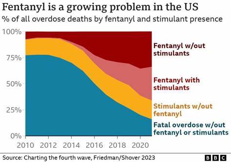 Study reveals how a popular fentanyl additive affects breathing and heart rate