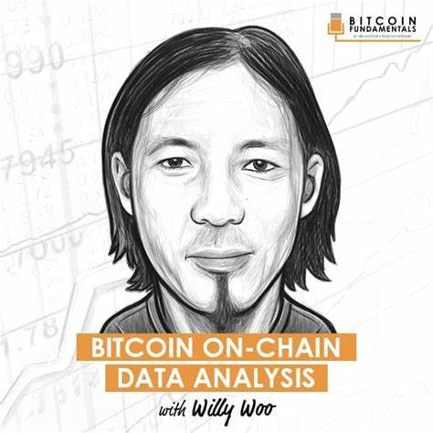 Willy Woo's Analysis: Global Liquidity and the Future of Bitcoin - CryptoGlobe