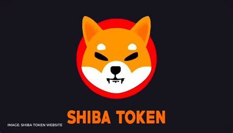 Doge Killer or Blatant Scam: What Does the General Public Think of Shiba Inu (SHIB)? - DailyCoin