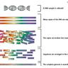 New project to pioneer the principles of human genome synthesis