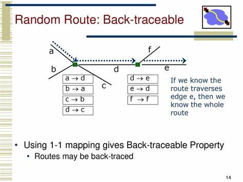 Traceable Randomness