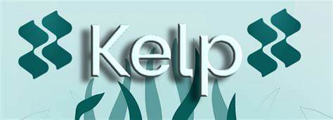 What is KELP? The Restaking Platform That Allows You to Maximize Your Crypto Investments - Crypto Economy