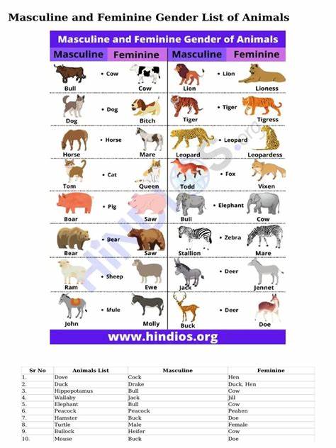 A data analysis of animal gender in children's books