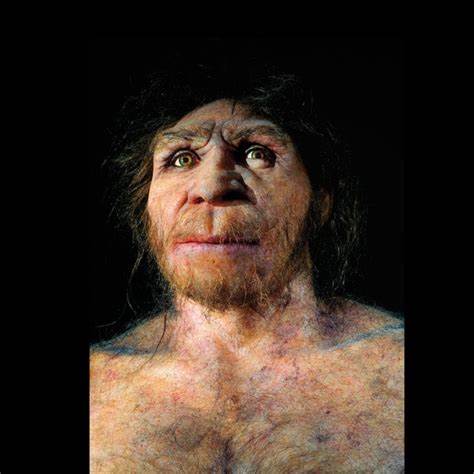 Human Ancestors Nearly Went Extinct 900k Years Ago (2023)