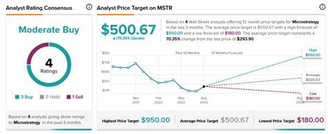 This Analyst Is Doubling Down on MicroStrategy Stock in 2025. Should You? - Inkl