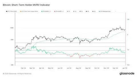 Short-Term Bitcoin Holders See 10% Profit – Potential Impact On Price? - TradingView