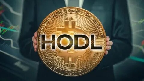 Bitcoin Beyond HODLing: Strategies to Maximize Your Investment - Crypto Times