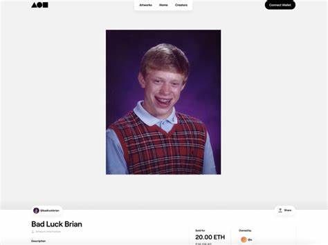 'Bad Luck Brian' Meme Goes Crypto Art, NFT Sells for $36,000 - Decrypt