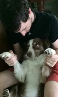 South Fulton dog owners want to identify, catch the men who stole their dogs - Yahoo