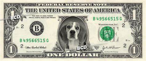 DOGS/USD - DOGS US Dollar