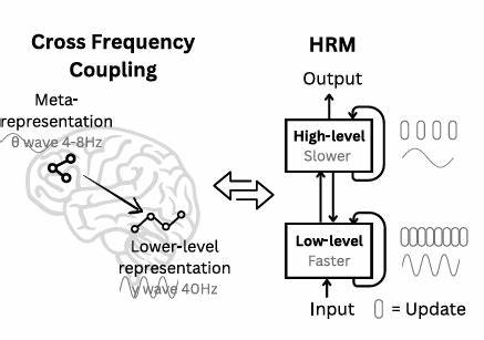 Open-Source Hierarchical Reasoning Model, a Brain-Inspired Architecture