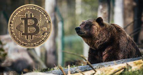 Survivors of 2018-20 Crypto Winter Show the Way Through New Bear Market - Yahoo Finance