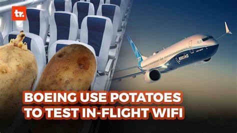 Boeing uses potatoes to test wi-fi