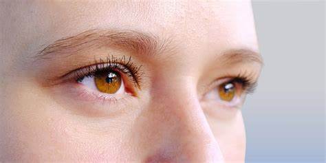 Scientists challenge theory that human eye evolution was driven by cooperation