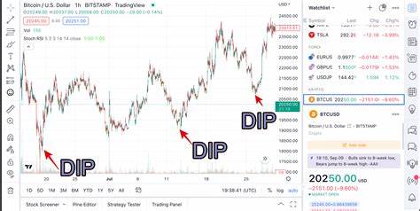 Buy-the-Dip! Dieses Unternehmen kauft wieder Bitcoin