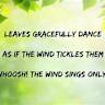 Haiku July