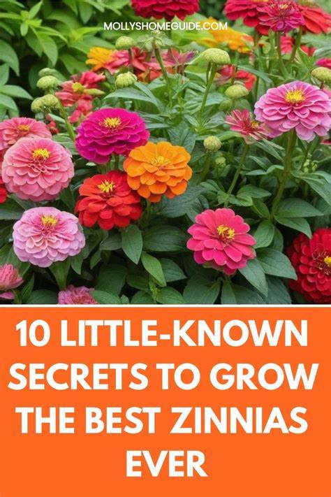 Ask HN: What is the ultimate secret to growth?