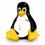 Linus Torvalds Expresses His Hatred for Case-Insensitive File-Systems