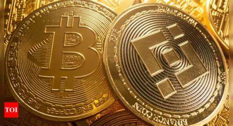 Over 10 crore Indians own cryptocurrency, highest in the world: Report - The Times of India