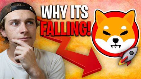 SHIB Team Explains Why Shiba Inu is Falling Today - The Crypto Basic