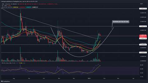 Shiba Inu Coin Price Extends Consolidation, But When Is The Bull Run Starting? - CoinGape