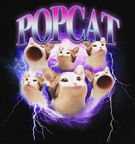 Memecoin Sensation Popcat Hits New All-Time High After Surge To $1 - NewsBTC