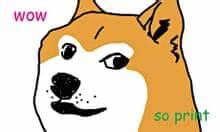 What is Doge? - The Guardian