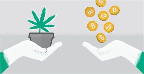 The Pros and Cons of Marijuana Dispensaries Using Cryptocurrencies for Payments - Regulatory Oversight