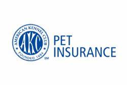 AKC pet insurance review 2025