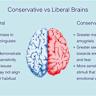 Conservative and Liberal Brains Might Have Some Real Differences