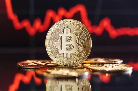 Bitcoin und Altcoins: Analysten warnen vor "erheblicher Volatilität