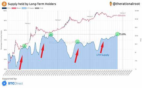 Bitcoin Halving 85% Complete, Long-Term Holders’ Supply Nears All 