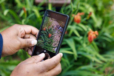 How to Become a Backyard Naturalist with Just Your Smartphone