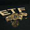 BlackRock's Spot Bitcoin ETF Now Holds More Than $1 Billion Worth of Bitcoin - Investopedia